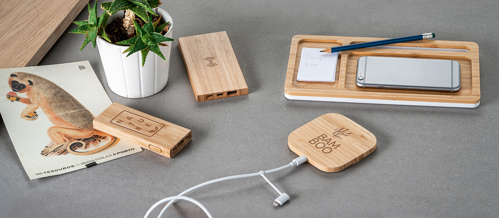 USB – Power Bank - Technology