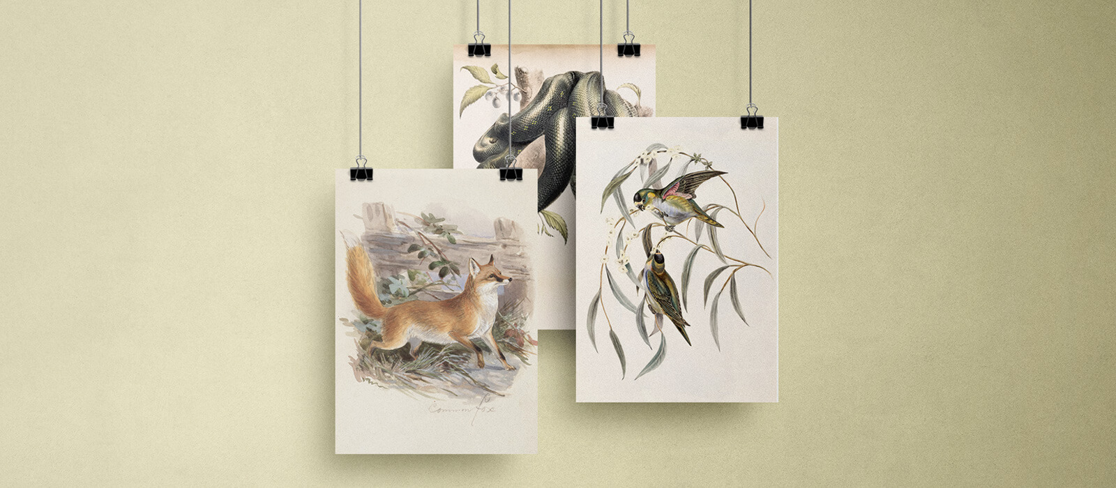 Posters