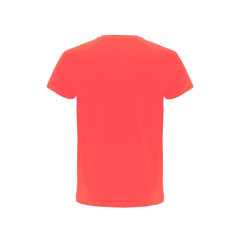 0019.jpg