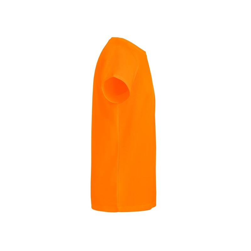 0029.jpg